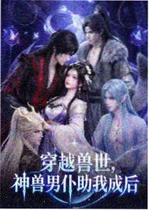 动画区番剧季度与集数归档示意